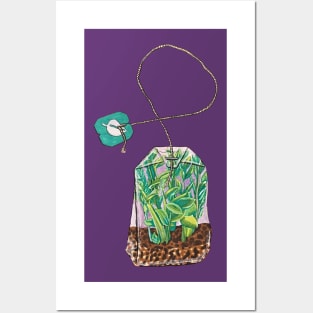 Tea Bag Terrarium Posters and Art